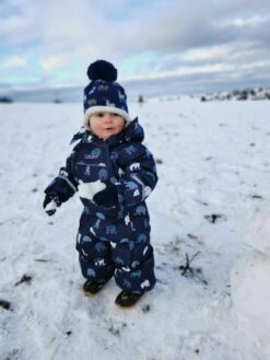 Celavi Schneeoverall Rauchblau Mit Elefanten 7 Celavi Schneeoverall Rauchblau Mit Elefanten -Kinderbekleidungsgeschäft schneeanzug celavi kinder 1280x1280 1